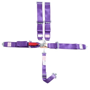 Performance Racing SFI 16.1 Certified 5 Point Harness Latch and Link Quick Release Safety Belt Car Seat Belt Combo Sport Car