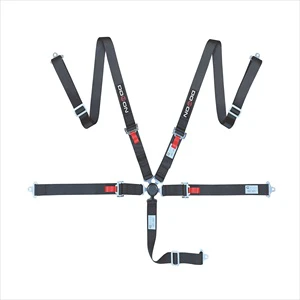 SFI 16.1 Camlock Safety Belt Up-to-date 100% Polyester Webbing 2 Inch 5 Points Hot Selling Protect Yaris Car Safety Belt 10pcs
