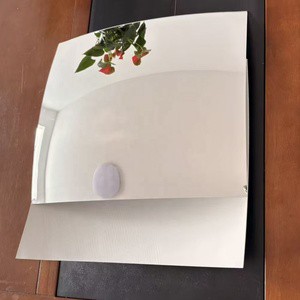 Glass Curved Mirrors Aluminum Mirror Silver Mirror Glass Convex Mirrors for Customized Truck Side Mirror