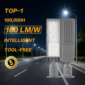 Adjustable Angle Precision Outdoor LED Street Light With Built In Level Tool For Road Highway Parking Area Lighting
