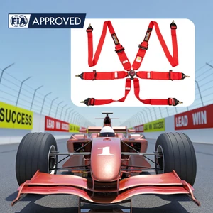 OEM ODM Motorsport FIA Approved Harness SPORT 6 Point Racing Seat Belt with 2 Inch Shoulder and 3 Inch Lap Belt Custom Color