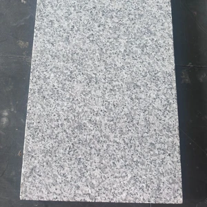 Manufacturer Supplies Sactrans Stone SC-874 Customizable Cut-to-Size Sesame Gray Granite Curb Stones Modern Roadside Engineering