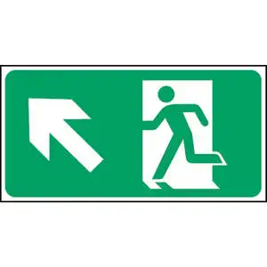 Emergency Exit Left Arrow Sign - Luminescent Aluminum 480°250mm