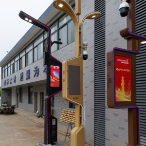 Customized Height Outdoor Smart Smart Cities LED Smart Street Light With Charge Station Integrated Lighting