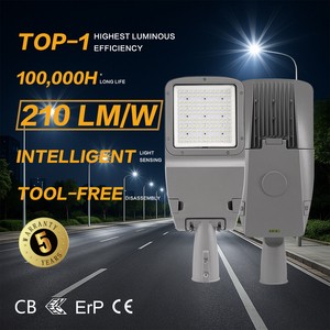 Industrial Grade Corrosion Resistant Aluminum IP66 Tool Free Access LED Street Light For Warehouse Road