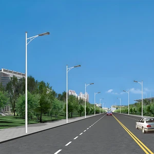 Single Arm Solar Light Panel 6m Street Light With Hot Dip Galvanized Pole Price Malaysia / Light Poles For Outside Solar