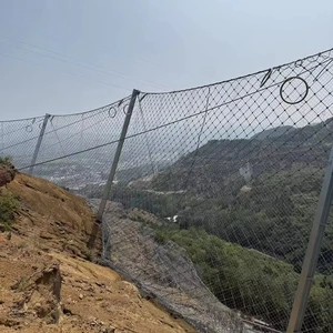 High Quality Slope Protection Mesh Rock Fall Protection Netting
