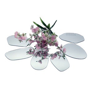HOT SELL1.8MM/2MM GY CONVEX MIRROR