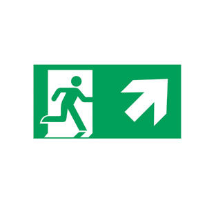 Emergency Exit Right Arrow Sign. Luminescent PVC 200*400 Mm