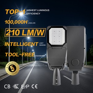 IP66 IK09 LED Street Light for Latin American City Street Lighting Modernization Programs