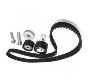 130C11551R High Quality Auto Parts Timing Belt Tensioner Kit Fit For RENAULT DUSTER 2.0 OEM 130C11551R