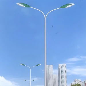 TIANHUANG Double-arm Steel Hot Dip Galvanized 8m Used Outdoor Street Lights & Parking Lot Light Poles With 3-Year Warranty