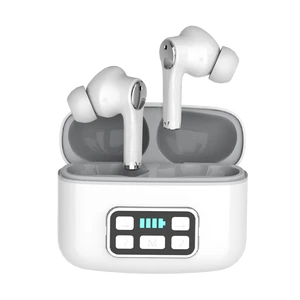 Everyday Slim 4-Channel Hearing Aids Discreet Design Noise Cancelling Rechargeable Features Digital Processing Super Clear Sound