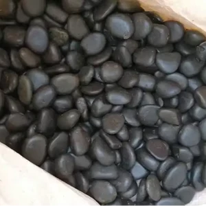 High Quality Modern Style White Cobblestone & Black Natural Stone Pebbles for Garden Courtyard Road Design