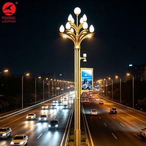 Professional Manufacturer Smart City LED Pole Light Street Light Magnolia Lamp Municipal Road Landscape Projects Street Lamp