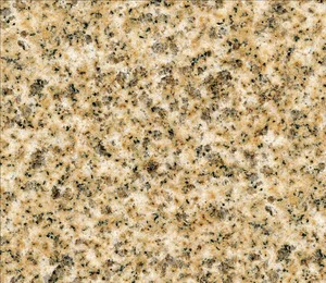 Classic Modern Golden Yellow Granite Pavers For Kitchen Bathroom & Outdoor Use