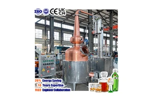 CE High Quality Alembic Pot Still 1000L Copper Alcohol Distiller Whisky Gin Brandy Distilling Beverage DIY Spirit Making