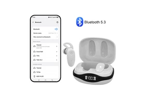 Wholesale BestNews TS615D-32 32-Channel Binaural Hearing Aids (Noise Reduction Super Clear Sound Rechargeable) | Premium