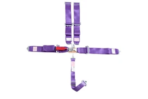 Performance Racing SFI 16.1 Certified 5 Point Harness Latch and Link Quick Release Safety Belt Car Seat Belt Combo Sport Car