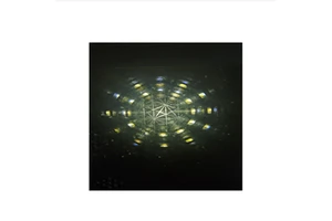 Optical PVC Exploding Flower Light Film Light-Reflective 3D Pattern Printing Material Light-Transmitting Material