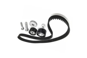 130C11551R High Quality Auto Parts Timing Belt Tensioner Kit Fit For RENAULT DUSTER 2.0 OEM 130C11551R