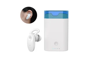 BestNews TS601-16 Digital Mini Rechargeable Wireless Hearing Aids 32 Channels Noise Cancelling 1 Year Warranty Class II Hearing
