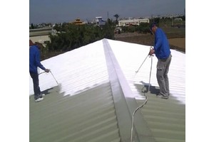 Commercial Building Reflective Insulation Paint | High Performance Heat Reflective Coating for Walls & Roofs