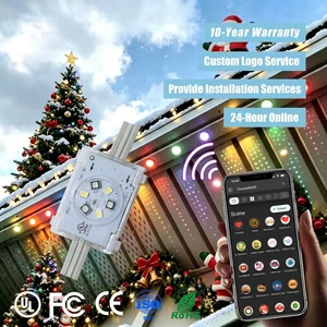 DC 48V 200ft 300ft 500ft Rgbw Point Light IP68 Waterproof Outdoor Permanent Christmas Decorations Lighting For Residential