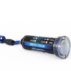 Aftermarket High Performance 1.5inch LED Pool Light IP68 Underwater ETL Certified Spa Lights Compatible With Pentair