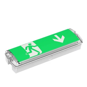 Best-selling CE, UKCA, IP65 Waterproof Emergency Lights In Europe
