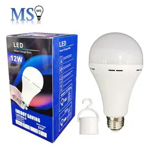 Wholesale Factory Outdoor Camping Home Lamp Led Charging Rechargeable Led Bulb Lights Emergency Bulb Led Emergency Lights