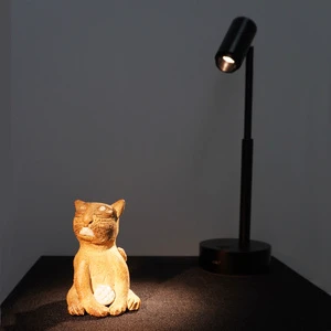 Modern Aluminum LED Wireless Zoom Glass Shade Charging Jewelry Night Light Convenient Study Long Battery Life Table Lamp