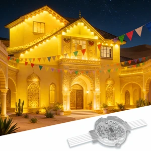 IP68 IK10 Christmas Holiday Aluminum Track Light RGB RGBW LED Point Light for House Permanent Outdoor Lighting