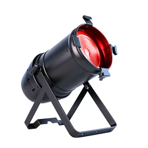 Factory Stage Lighting Equipment 300W RGBW LED Manual Zoom Par Light IP20 for Disco Theater Event