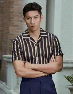 Men's Casual Short Sleeve Tops Patterned Geometric Striped Rayon Blouse Resort Collar Quick Dry Feature Relaxed Fit