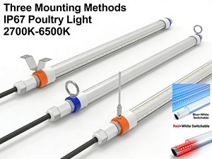 LED Light for Poultry Farm T8 IP67 Flicker-free Red+White Switchable 2700K-6500K 5-Year Warranty 130lm/W
