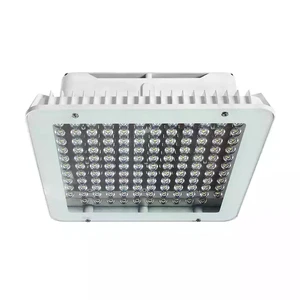 100W 150W 200W IP65 Waterproof Explosion-proof LED Gas Station Light Factory Price Fast Heat Dissipation Petrol Canopy Lighting
