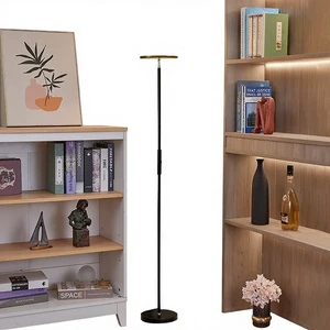 LED Floor Lamp Modern Minimalism Remote-controlled Stepless Dimming Ultra-Bright High CRI 90+ Creative Atmosphere Soft Light for