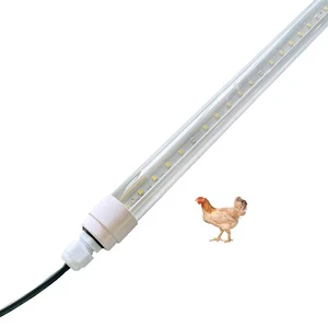 2700k Poultry Farm Dimmable Led Poultry Light System for Chicken Poultry House