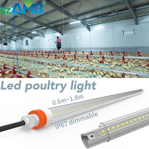 Chicken Lights Poultry Lighting Barn Light Professional Lighting Flicker-Free Poultry Lights Full Spectrum Led Light Waterproof