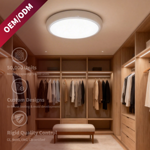 Emergency LED Bulkhead Light 3 CCT Adjustable IP54 Waterproof Fire Resistant Emergency Tri-proof Ceiling Light