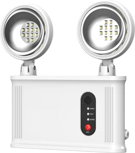 Emergency light