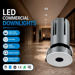 Anti Glare Spot Light LED Downlight 2'' 3'' 4'' COB Recessed Ceiling Light Wall Wash Pin Hole Spotlight