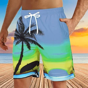 Men's Waterproof Quick Dry Stripe Printed Sporty Swim Trunks & Beach Shorts with Elastic Waist