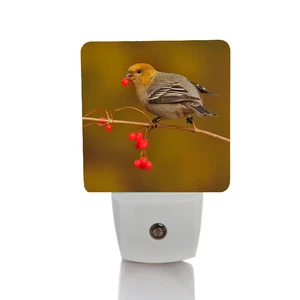 Smart Custom Pattern LED Photo Sensor Lights for Night Light Lamp Energy Saving Home Light