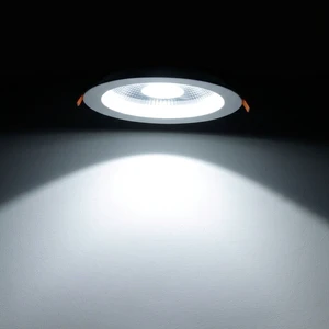 Modern Smart Control Tunable White LED Indoor Downlight Zigbee 0-10V For 5-Year Warranty CE RoHS Certified For Residential Use