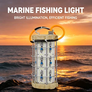 B&D Factory 2400W IP68 Led Bait Lamp Squid Fishing Luring Lamp Under Water Deep Underwater Fishing Light for Fishing