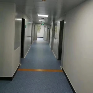 Grade Cleaning Supplies Clean Room Sterilization Equipment Cleanroom Containment Solutions Gmp Clean Room