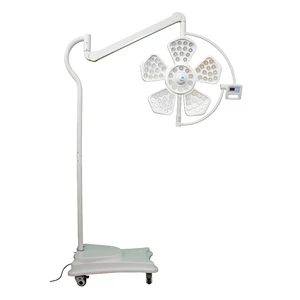 Medical Equipment | Surgical Lighting | Dual Head Light Source | Hospital & Clinic Use