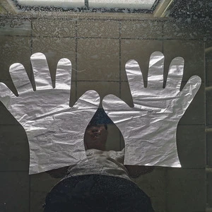 Disposable Protective Gloves Transparent PE Gloves For Safety And Cleaning Use